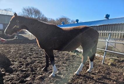 ��īƼ��׽�Ʈ�� ����