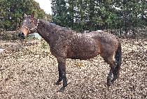 ���ô��׷���Ʈ ����