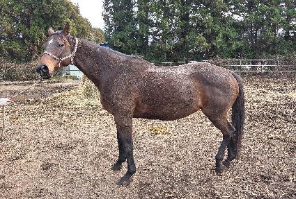 ���ô��׷���Ʈ ����