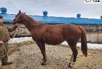 ���ñ���Ʈ ����