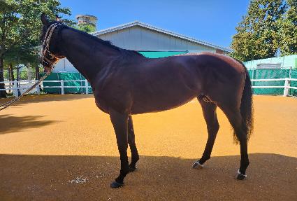 �۷θ��Ƹյ� ����