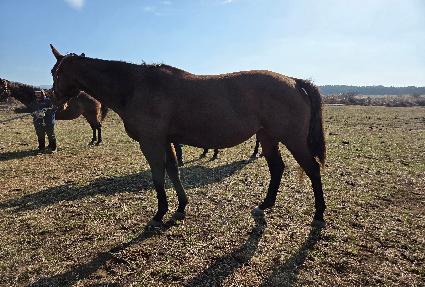 ��Ʈ���� ����