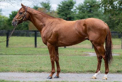 ������ ����