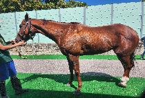 ��ũ���� ����