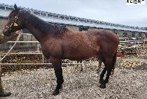 ġŸ����Ʈ ����