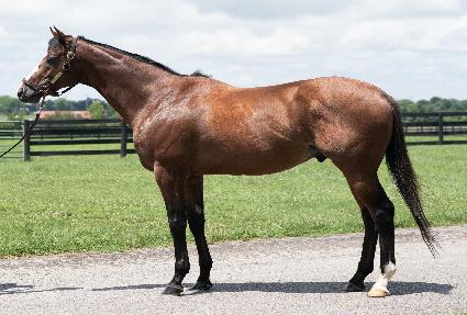 �Ƿ��� ����