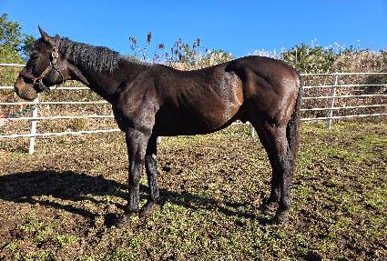 �۽�Ʈ����� ����