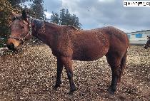 ���̽���Ʈ���� ����