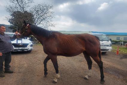 ���ڶ��� ����