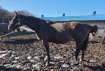 ���ϸ�2 ����