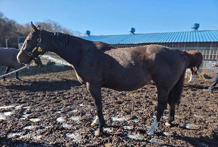 ���ϸ�2 ����