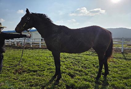 ũ���� ����