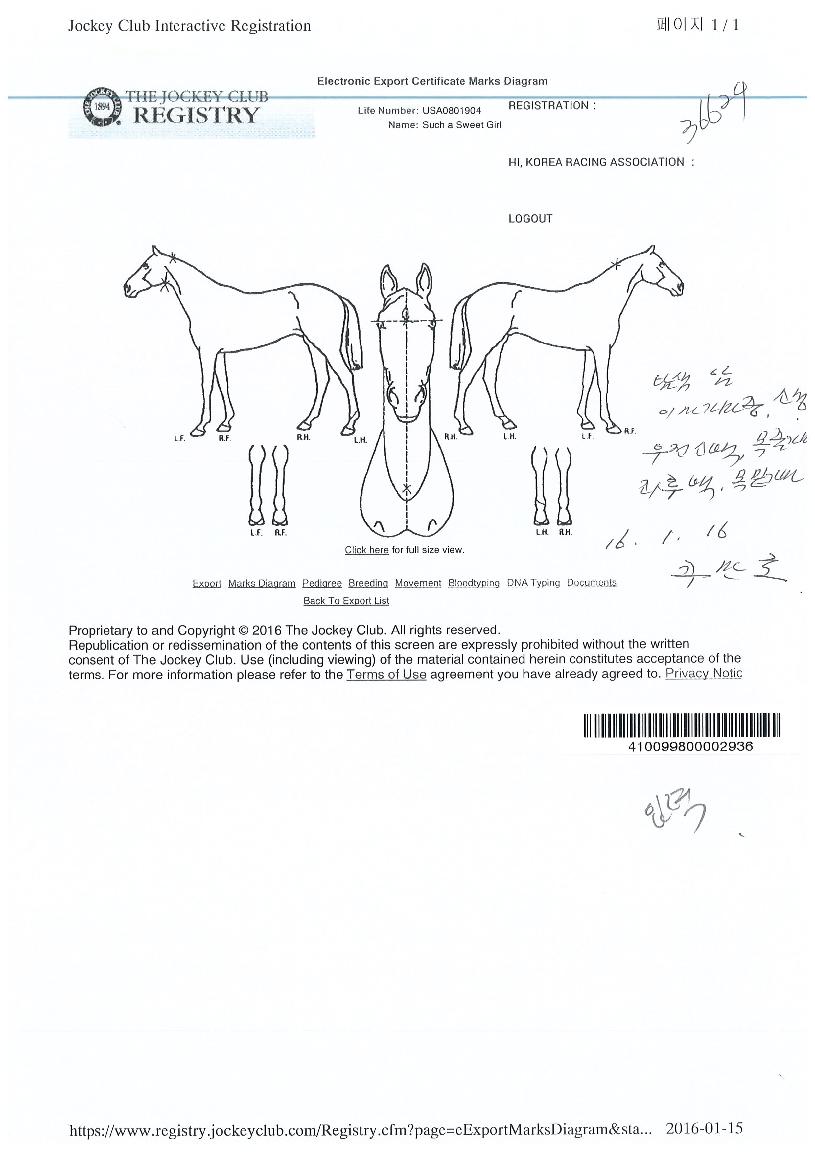 ¼Ä¡¾î½ºÀ§Æ®°ÉÀÇ Ãø¸é,¿ì¸é,µÞ¸é,µÎ»ó,´Ù¸®ÀÇ Æ¯Â¡µµÇØ