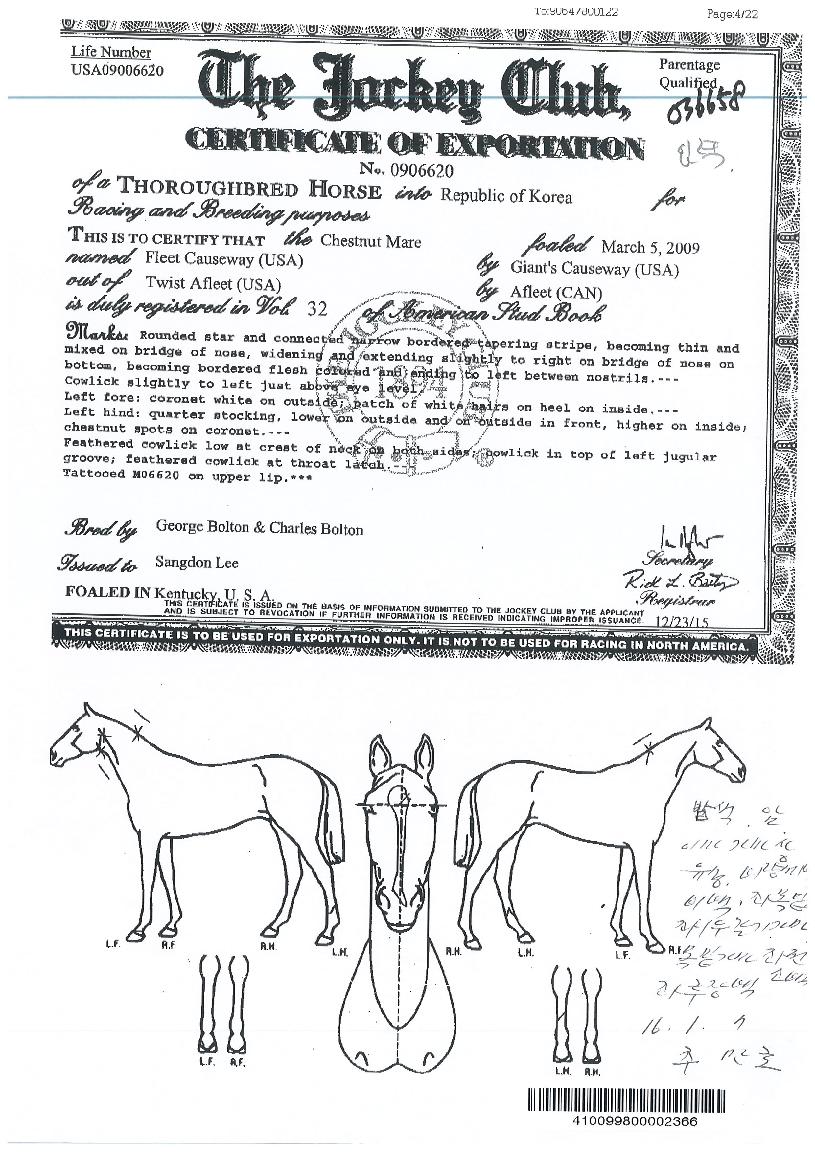 Çø®Æ®ÄÚÁî¿þÀÌÀÇ Ãø¸é,¿ì¸é,µÞ¸é,µÎ»ó,´Ù¸®ÀÇ Æ¯Â¡µµÇØ