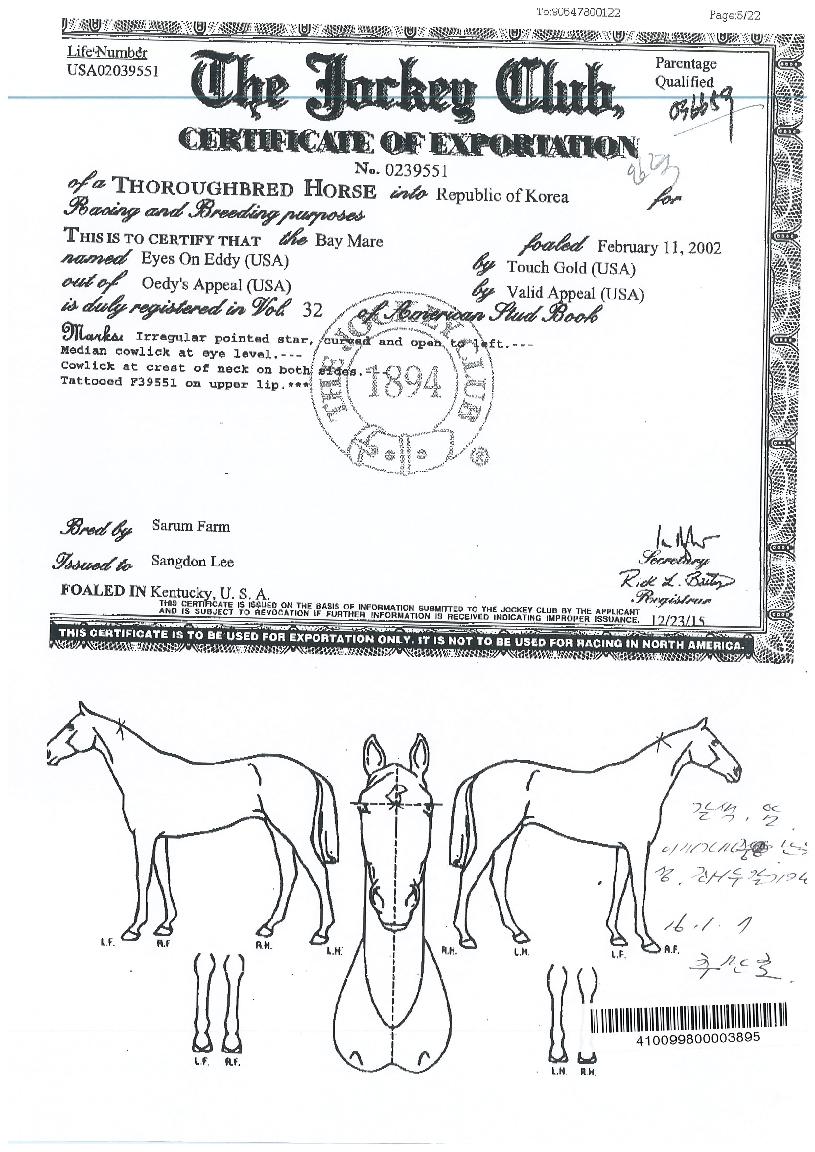 ¾ÆÀÌÁî¿Â¿¡µðÀÇ Ãø¸é,¿ì¸é,µÞ¸é,µÎ»ó,´Ù¸®ÀÇ Æ¯Â¡µµÇØ