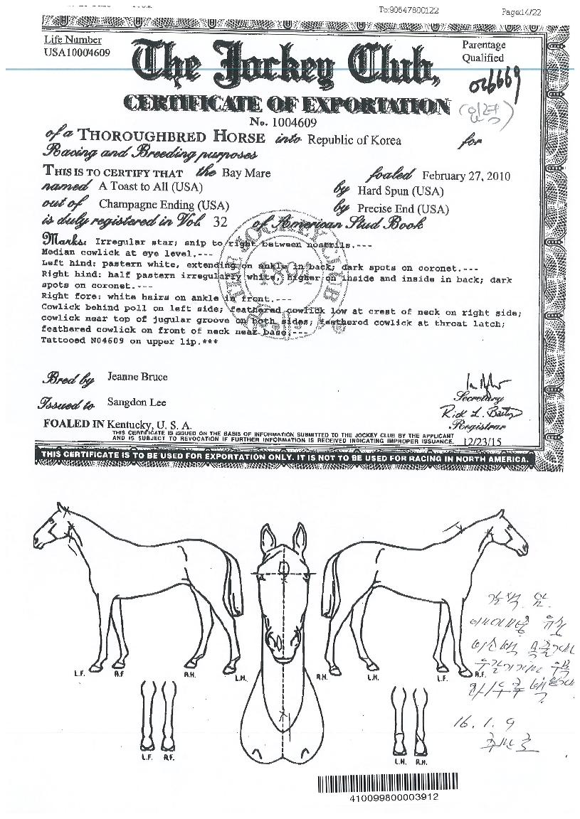 ¿¡ÀÌÅ佺ƮÅõ¿ÃÀÇ Ãø¸é,¿ì¸é,µÞ¸é,µÎ»ó,´Ù¸®ÀÇ Æ¯Â¡µµÇØ