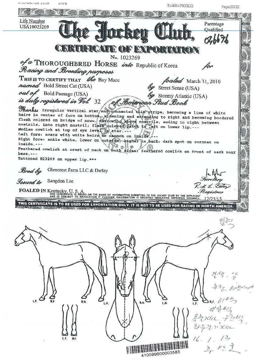 º¼µå½ºÆ®¸®Æ®Ä¹ÀÇ Ãø¸é,¿ì¸é,µÞ¸é,µÎ»ó,´Ù¸®ÀÇ Æ¯Â¡µµÇØ