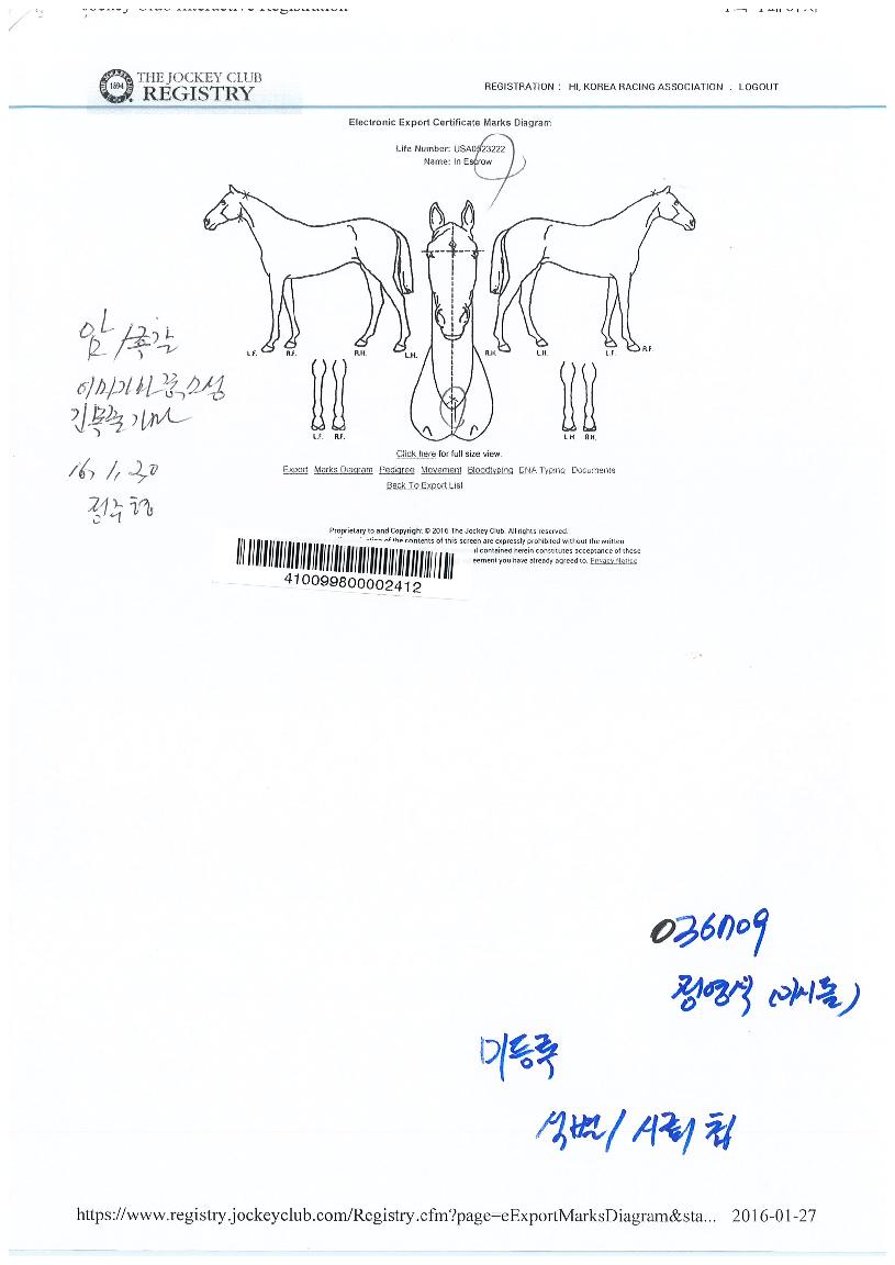 Àο¡½ºÅ©·ÎÀÇ Ãø¸é,¿ì¸é,µÞ¸é,µÎ»ó,´Ù¸®ÀÇ Æ¯Â¡µµÇØ