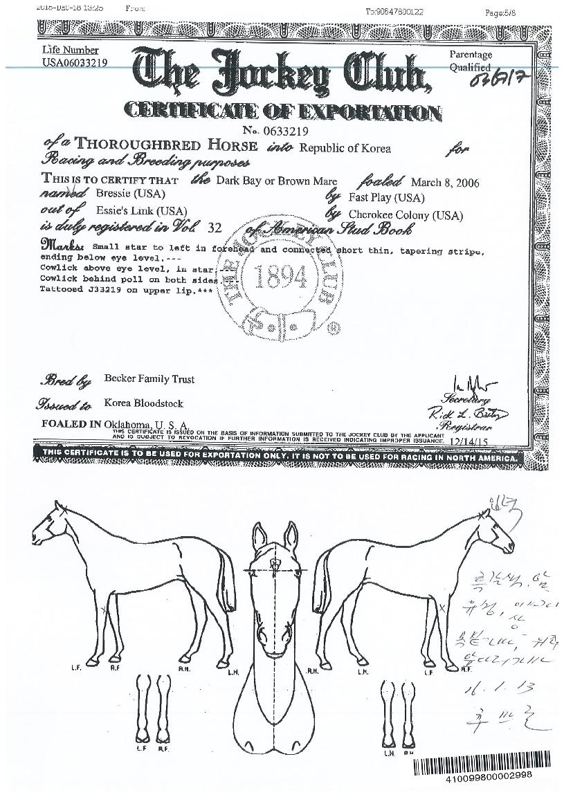 ºê·¹½ÃÀÇ Ãø¸é,¿ì¸é,µÞ¸é,µÎ»ó,´Ù¸®ÀÇ Æ¯Â¡µµÇØ