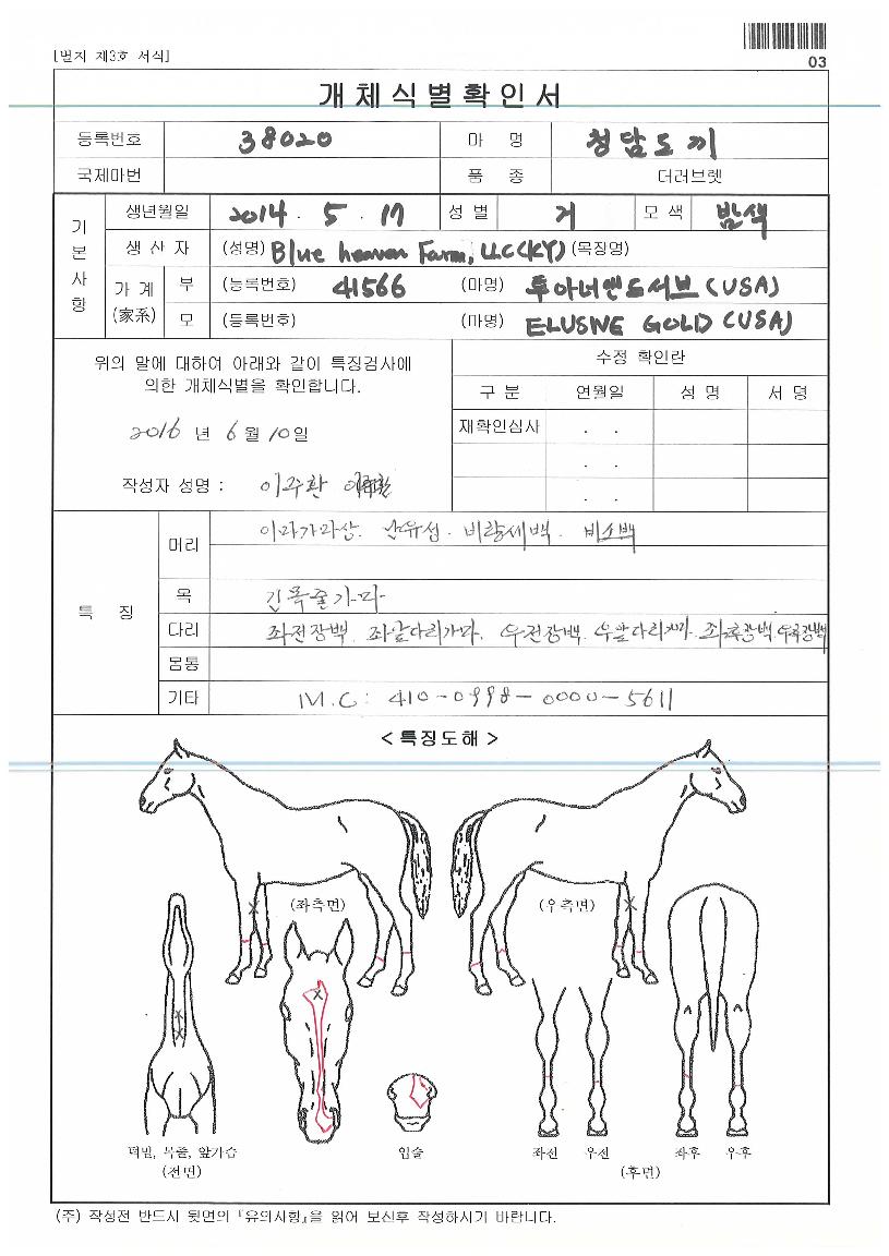 û´ãµµ³¢ÀÇ Ãø¸é,¿ì¸é,µÞ¸é,µÎ»ó,´Ù¸®ÀÇ Æ¯Â¡µµÇØ