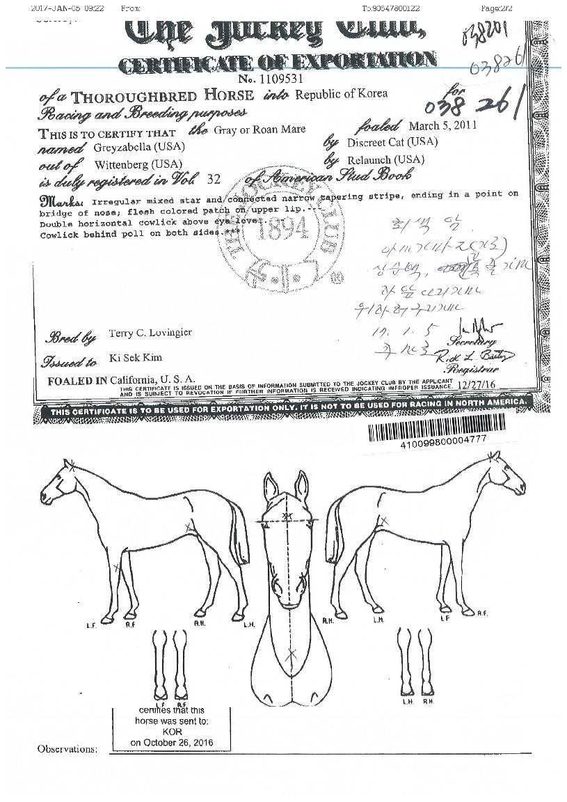 ±×·¹ÀÌÀÚº§¶óÀÇ Ãø¸é,¿ì¸é,µÞ¸é,µÎ»ó,´Ù¸®ÀÇ Æ¯Â¡µµÇØ