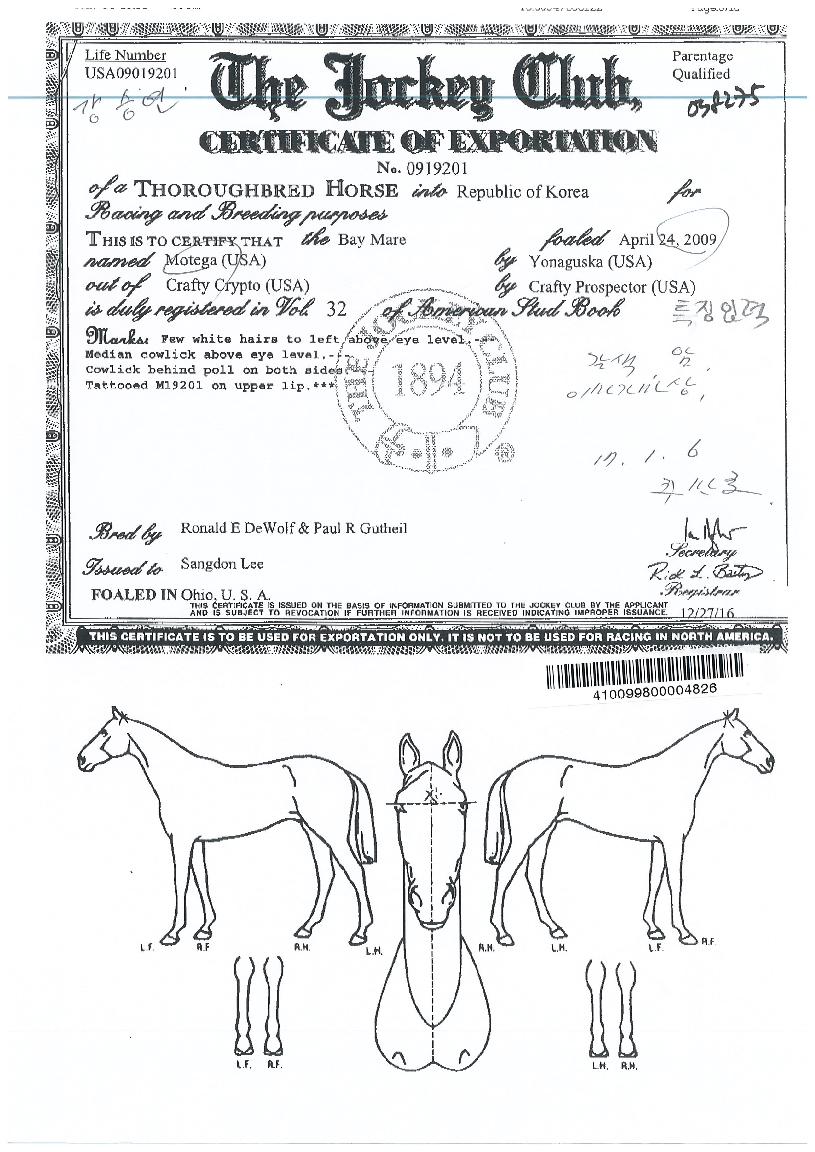 ¸ðÅ×°¡ÀÇ Ãø¸é,¿ì¸é,µÞ¸é,µÎ»ó,´Ù¸®ÀÇ Æ¯Â¡µµÇØ