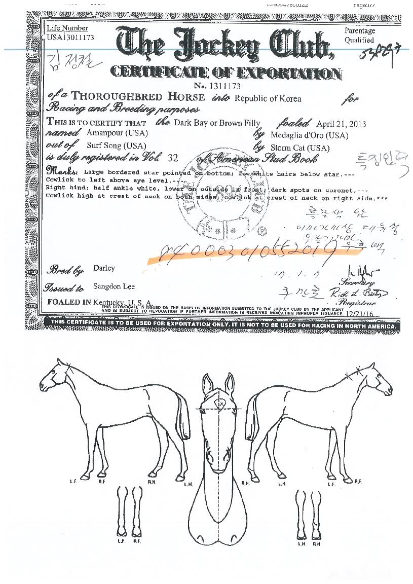 ¾Æ¸¸Æ÷¾îÀÇ Ãø¸é,¿ì¸é,µÞ¸é,µÎ»ó,´Ù¸®ÀÇ Æ¯Â¡µµÇØ