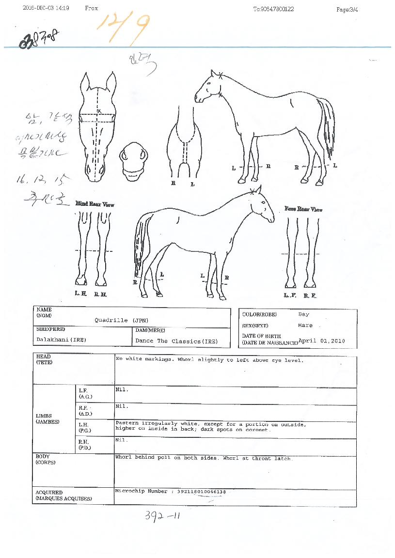 Äâµå¸±ÀÇ Ãø¸é,¿ì¸é,µÞ¸é,µÎ»ó,´Ù¸®ÀÇ Æ¯Â¡µµÇØ
