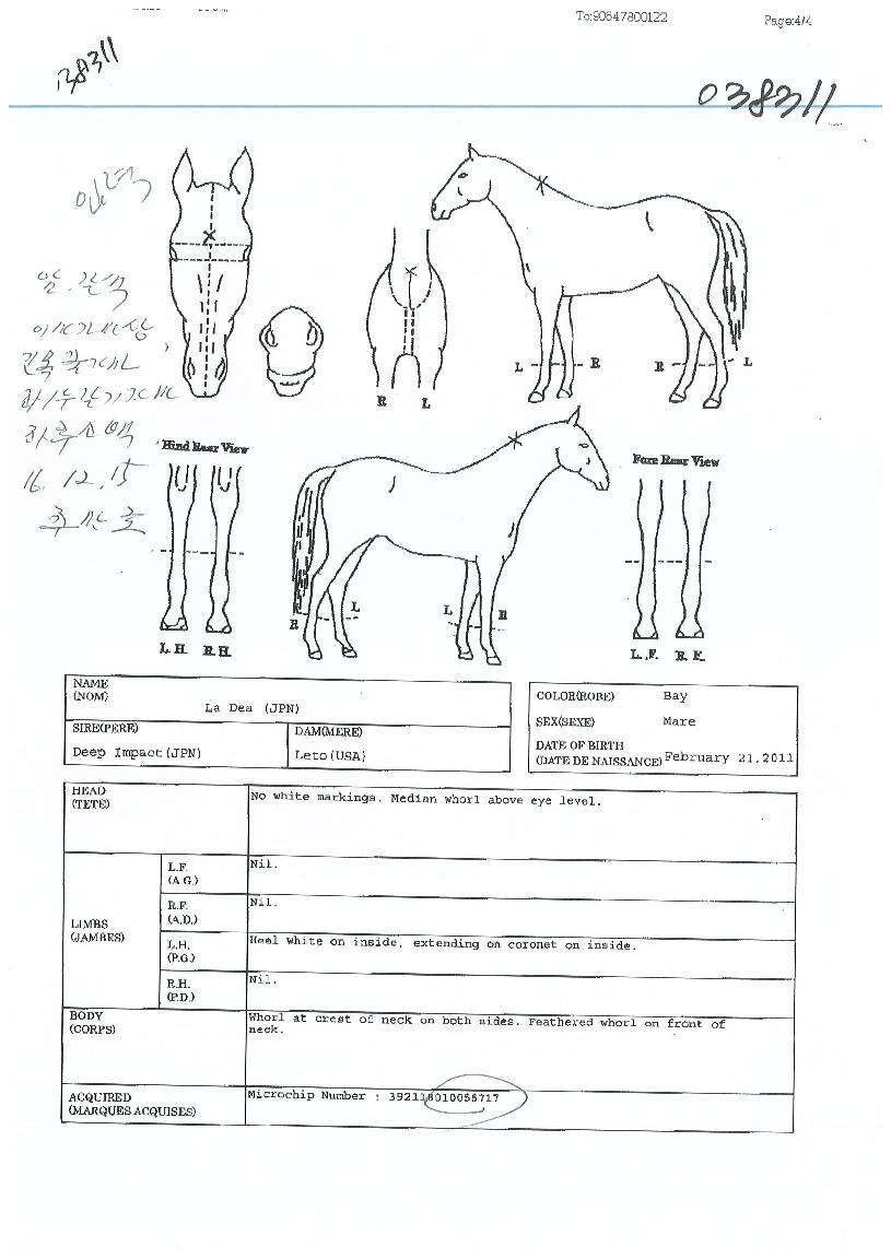 ¶óµ¥¾ÆÀÇ Ãø¸é,¿ì¸é,µÞ¸é,µÎ»ó,´Ù¸®ÀÇ Æ¯Â¡µµÇØ