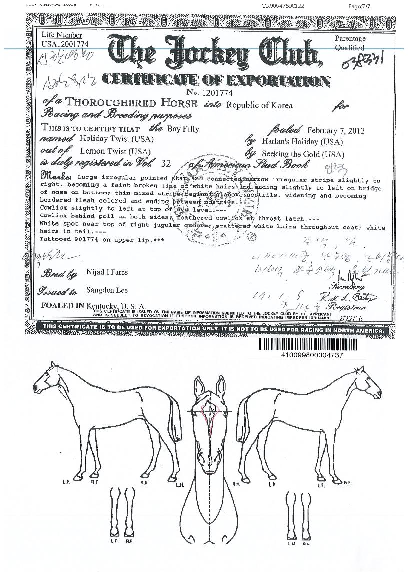 Ȧ¸®µ¥ÀÌÆ®À§½ºÆ®ÀÇ Ãø¸é,¿ì¸é,µÞ¸é,µÎ»ó,´Ù¸®ÀÇ Æ¯Â¡µµÇØ