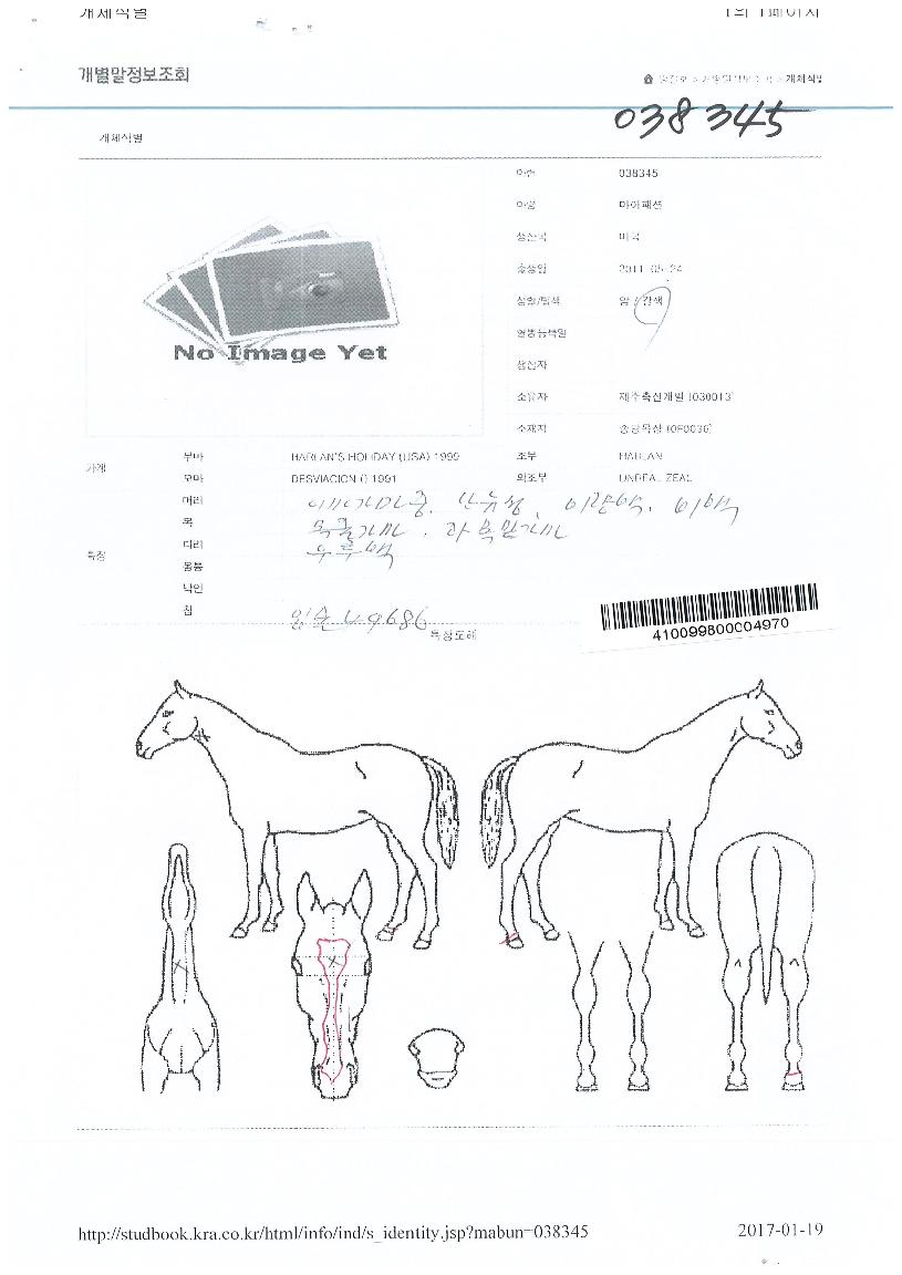 ¸¶ÀÌÆÐ¼ÇÀÇ Ãø¸é,¿ì¸é,µÞ¸é,µÎ»ó,´Ù¸®ÀÇ Æ¯Â¡µµÇØ