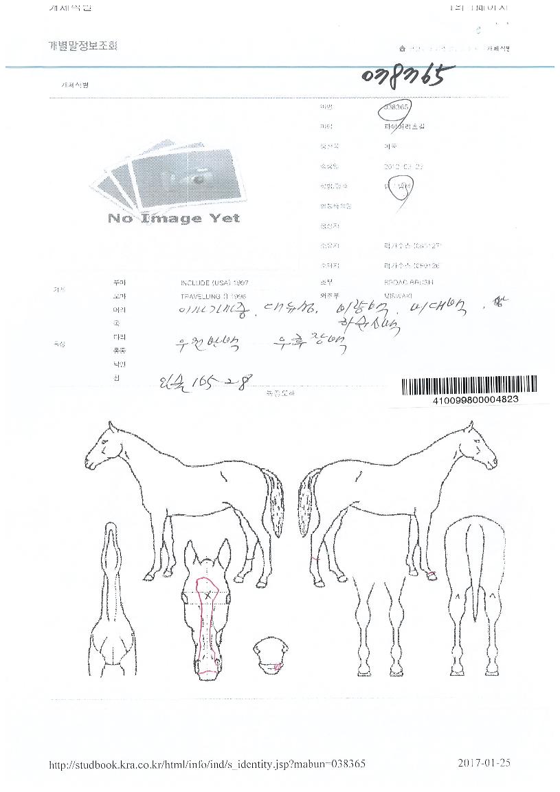 ÆÄÀ̾Ã÷°¥ÀÇ Ãø¸é,¿ì¸é,µÞ¸é,µÎ»ó,´Ù¸®ÀÇ Æ¯Â¡µµÇØ