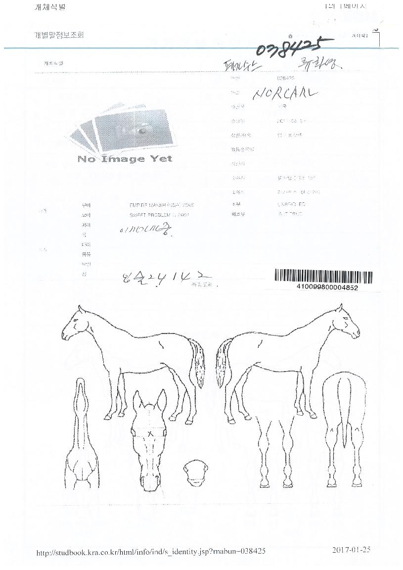 ³ë¸£Ä®ÀÇ Ãø¸é,¿ì¸é,µÞ¸é,µÎ»ó,´Ù¸®ÀÇ Æ¯Â¡µµÇØ