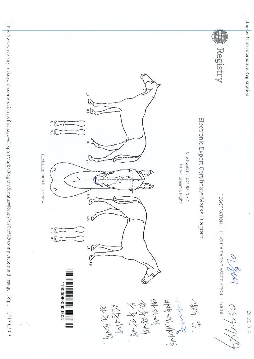 µå¸²µô¶óÀÌÆ®ÀÇ Ãø¸é,¿ì¸é,µÞ¸é,µÎ»ó,´Ù¸®ÀÇ Æ¯Â¡µµÇØ