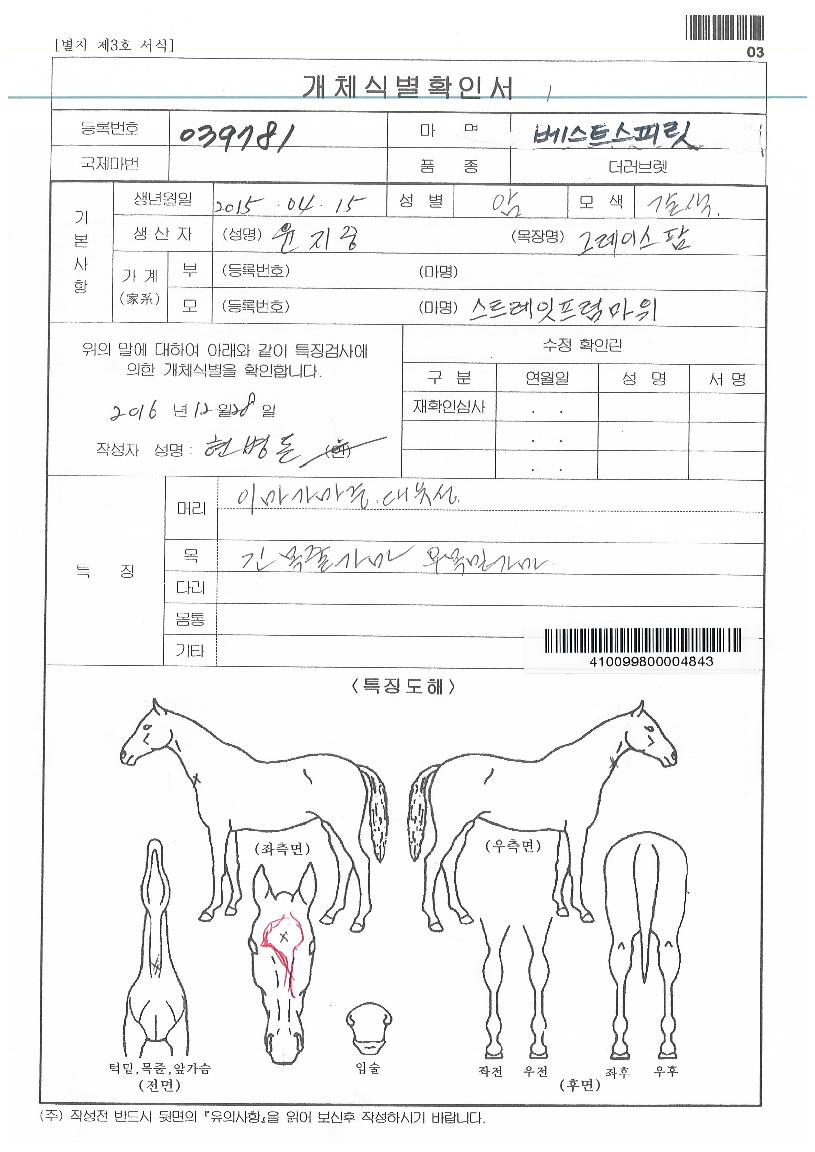 º£½ºÆ®½ºÇǸ´ÀÇ Ãø¸é,¿ì¸é,µÞ¸é,µÎ»ó,´Ù¸®ÀÇ Æ¯Â¡µµÇØ