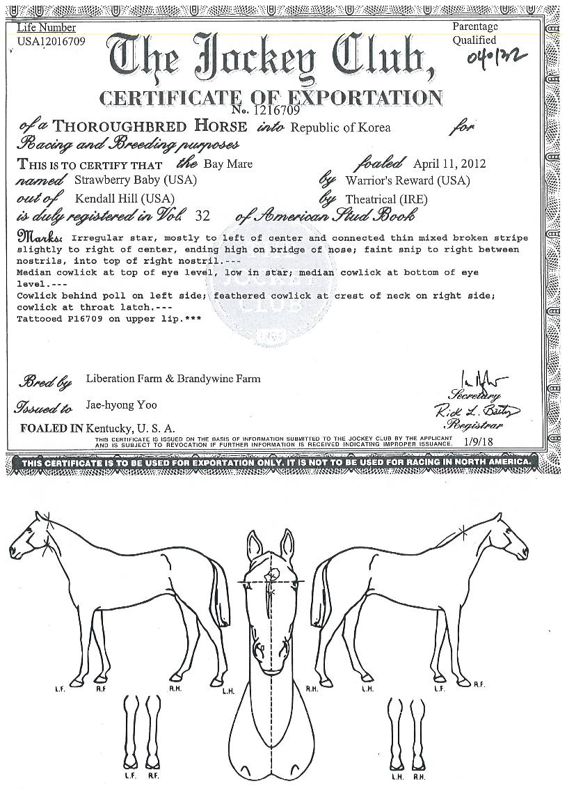 ½ºÆ®·Îº£¸®º£À̺ñÀÇ Ãø¸é,¿ì¸é,µÞ¸é,µÎ»ó,´Ù¸®ÀÇ Æ¯Â¡µµÇØ