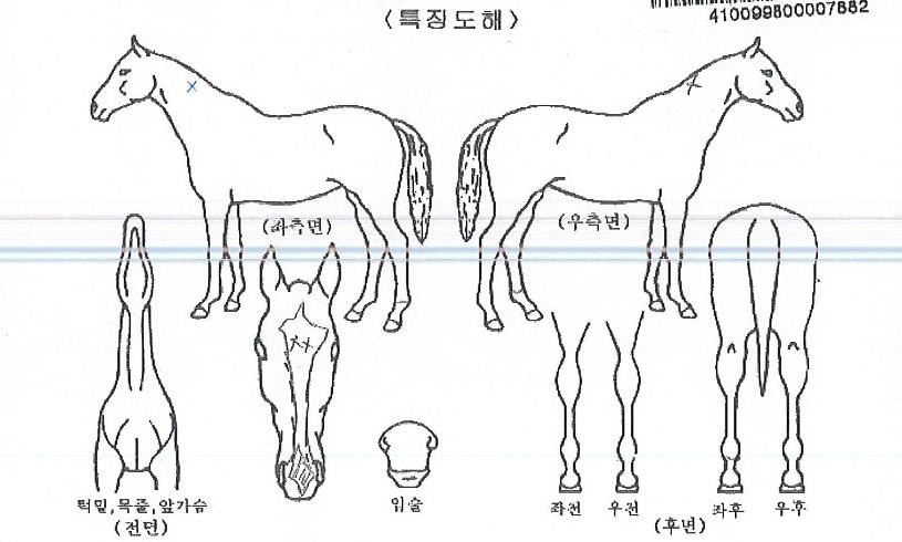 ÈÀÌÆ®ÂüÀÇ Ãø¸é,¿ì¸é,µÞ¸é,µÎ»ó,´Ù¸®ÀÇ Æ¯Â¡µµÇØ