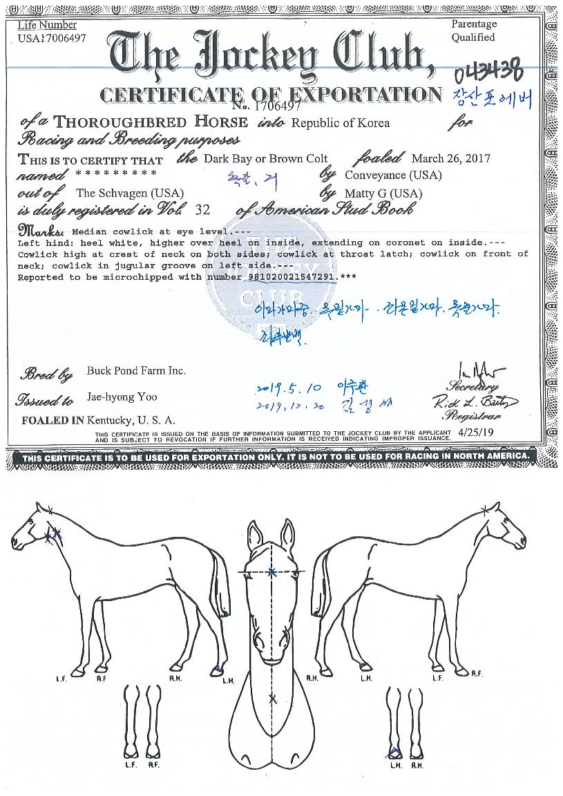 Àå»êÆ÷¿¡¹öÀÇ Ãø¸é,¿ì¸é,µÞ¸é,µÎ»ó,´Ù¸®ÀÇ Æ¯Â¡µµÇØ