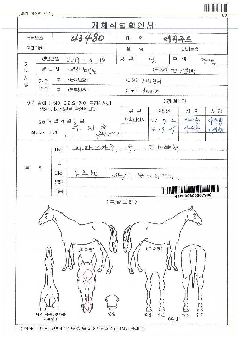 ¸ÅÁ÷ÁÖµåÀÇ Ãø¸é,¿ì¸é,µÞ¸é,µÎ»ó,´Ù¸®ÀÇ Æ¯Â¡µµÇØ