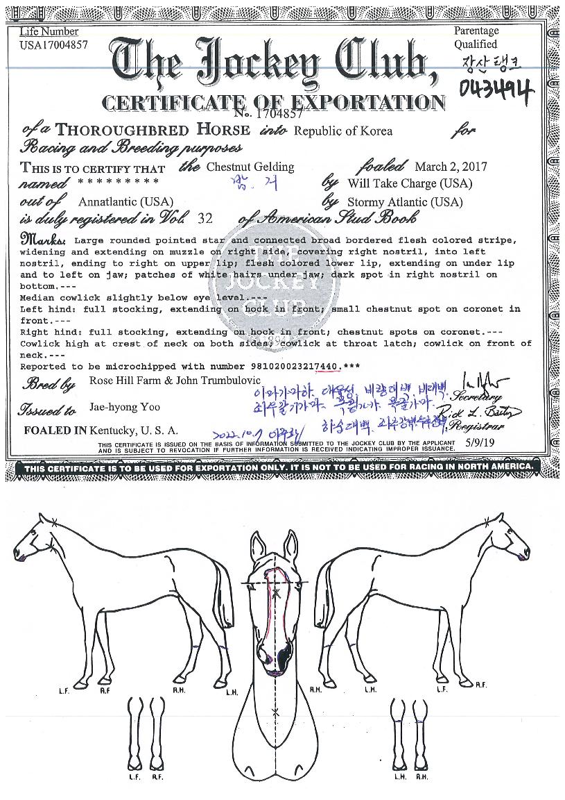 Àå»êÅÊÅ©ÀÇ Ãø¸é,¿ì¸é,µÞ¸é,µÎ»ó,´Ù¸®ÀÇ Æ¯Â¡µµÇØ