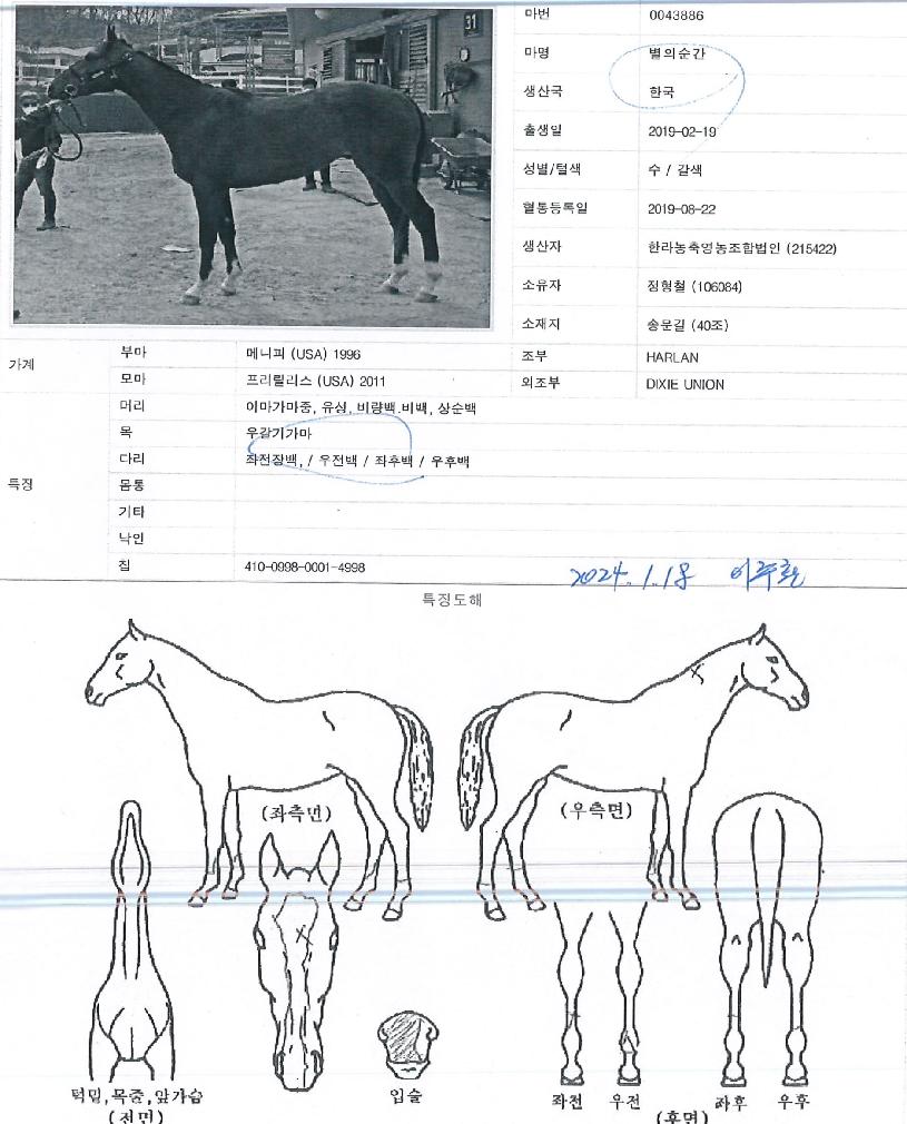 º°ÀǼø°£ÀÇ Ãø¸é,¿ì¸é,µÞ¸é,µÎ»ó,´Ù¸®ÀÇ Æ¯Â¡µµÇØ