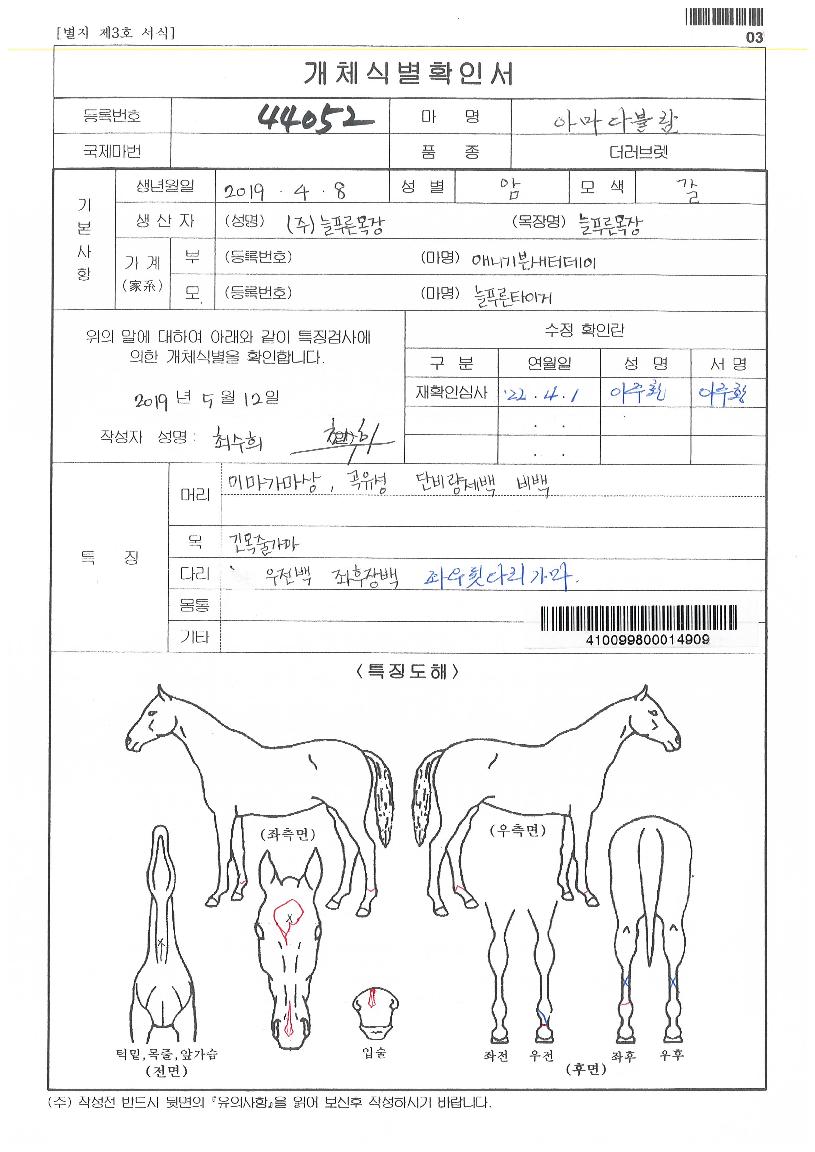 ¾Æ¸¶´Ùºí¶÷ÀÇ Ãø¸é,¿ì¸é,µÞ¸é,µÎ»ó,´Ù¸®ÀÇ Æ¯Â¡µµÇØ