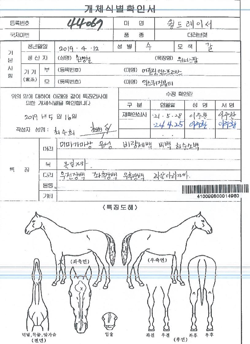 ¿ùµå·¹À̼ÀÇ Ãø¸é,¿ì¸é,µÞ¸é,µÎ»ó,´Ù¸®ÀÇ Æ¯Â¡µµÇØ