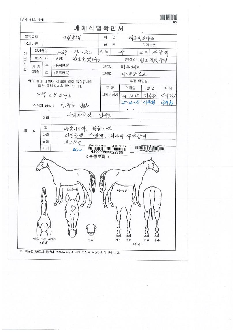 ƼÁî¹Ù·Î¿ìÁîÀÇ Ãø¸é,¿ì¸é,µÞ¸é,µÎ»ó,´Ù¸®ÀÇ Æ¯Â¡µµÇØ