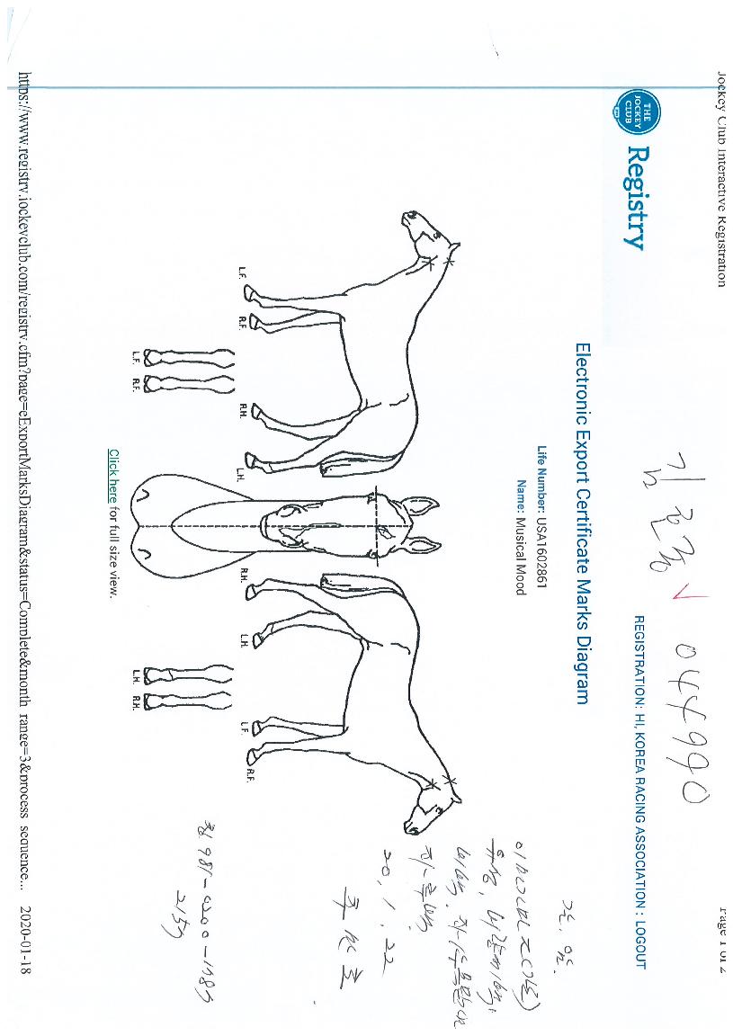 ¹ÂÁöÄù«µåÀÇ Ãø¸é,¿ì¸é,µÞ¸é,µÎ»ó,´Ù¸®ÀÇ Æ¯Â¡µµÇØ
