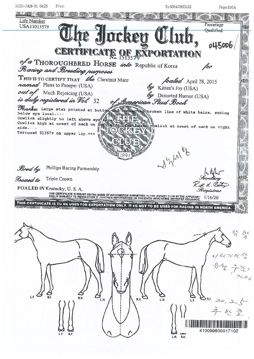 Ç÷£½ºÅõÇÁ·Î½ºÆÛÀÇ Ãø¸é,¿ì¸é,µÞ¸é,µÎ»ó,´Ù¸®ÀÇ Æ¯Â¡µµÇØ