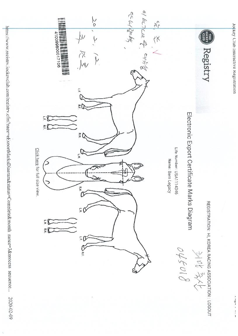 ¹ø·¹°Å½ÃÀÇ Ãø¸é,¿ì¸é,µÞ¸é,µÎ»ó,´Ù¸®ÀÇ Æ¯Â¡µµÇØ