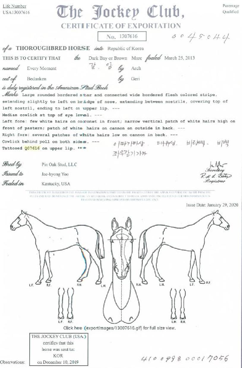 ¿¡ºê¸®¸ð¸àÆ®ÀÇ Ãø¸é,¿ì¸é,µÞ¸é,µÎ»ó,´Ù¸®ÀÇ Æ¯Â¡µµÇØ