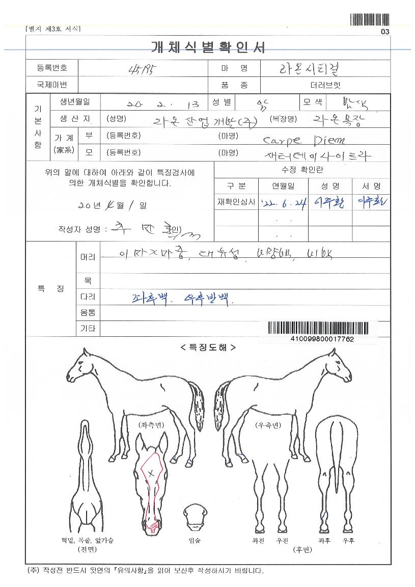 ¶ó¿Â½ÃƼ°ÉÀÇ Ãø¸é,¿ì¸é,µÞ¸é,µÎ»ó,´Ù¸®ÀÇ Æ¯Â¡µµÇØ