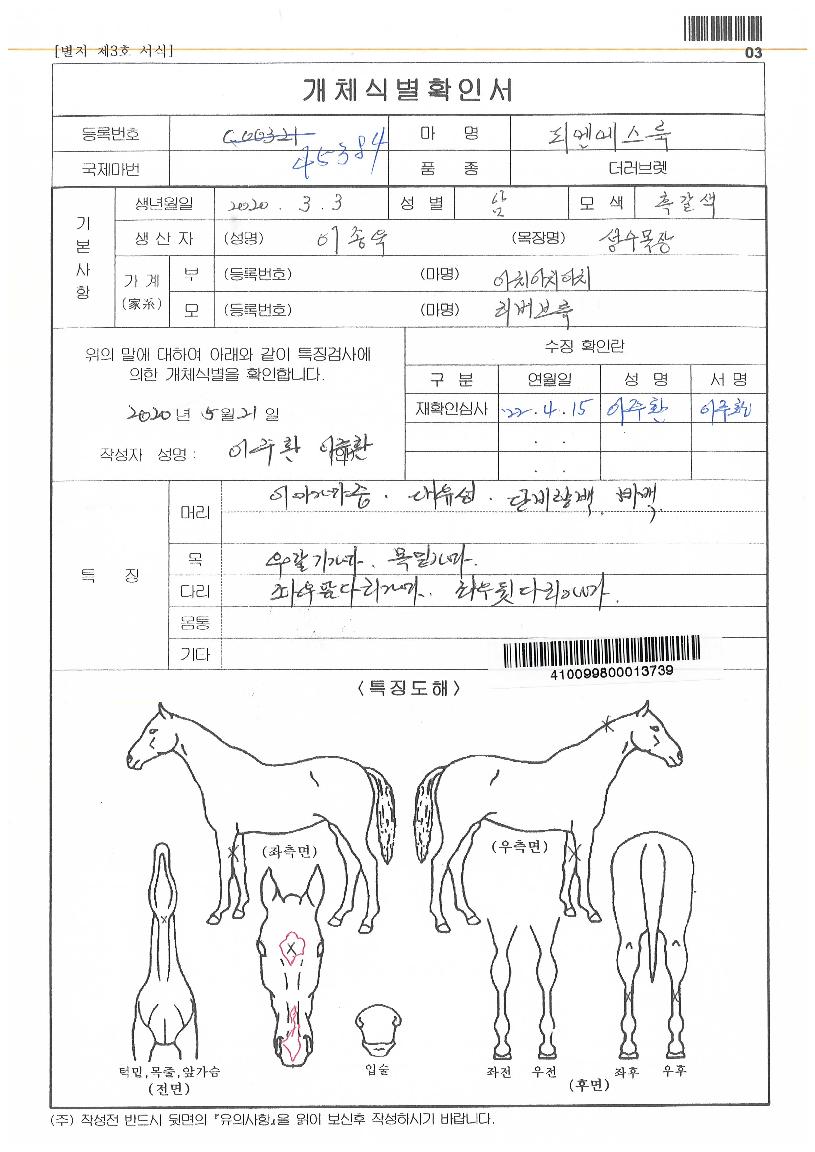 ÇÇ¿£¿¡½º·èÀÇ Ãø¸é,¿ì¸é,µÞ¸é,µÎ»ó,´Ù¸®ÀÇ Æ¯Â¡µµÇØ